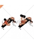 Dumbbell Decline Bench Press