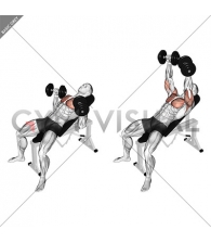 Dumbbell Incline Bench Press