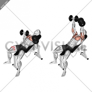 Dumbbell Incline Bench Press