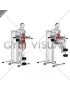 Weighted Captains Chair Leg Raise