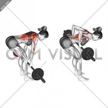 Barbell Reverse Grip Bent Over Row (female)