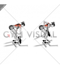 Lever T-bar Row (plate loaded) (female)