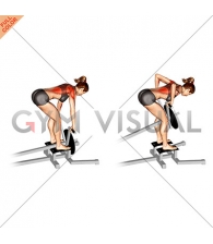 Lever T-bar Row (plate loaded) (female)
