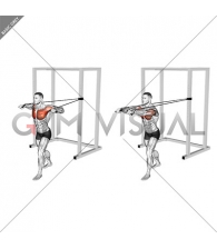 Band Standing Chest Press (male)