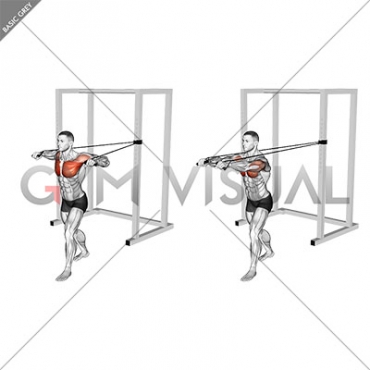 Band Standing Chest Press (male)