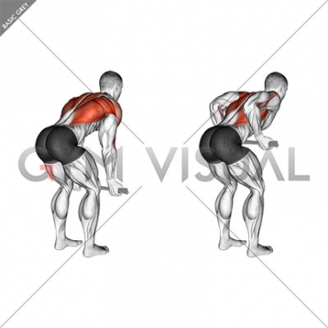 Bent-Over Row with Towel