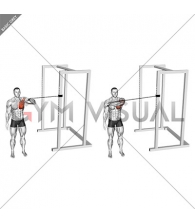 Band Cross Body One Arm Chest Press (male)