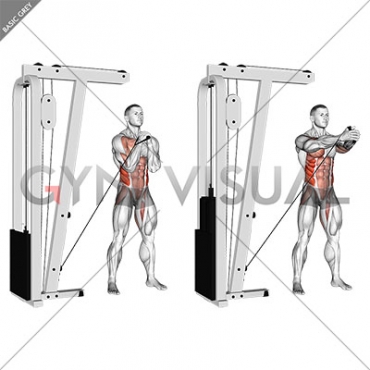 Cable horizontal Pallof Press (VERSION 2)