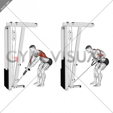 Cable Bent-Over Row with Rope Attachment