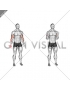 Bodyweight Standing Biceps Curl (VERSION 2)