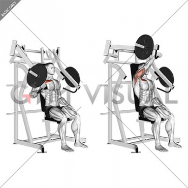 Lever Incline One Arm Chest Press (plate loaded)