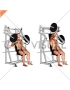 Lever Incline One Arm Chest Press (plate loaded)