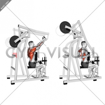 Lever Reverse Grip High Row (plate loaded)