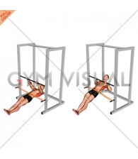 Resistance Band Inverted Row
