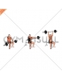 Barbell Seated High Front Raise