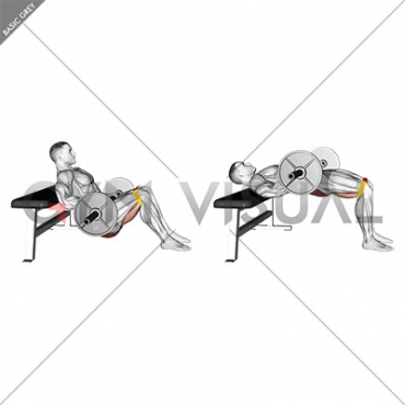 Barbell Resistance Band Hip Thrust