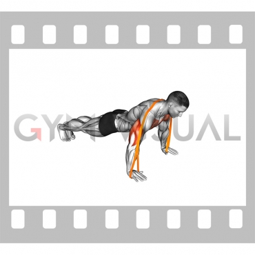 Resistance Band Push-Up