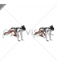 Push-up (knee chest)