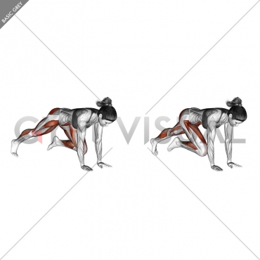 Push-up (knee chest)