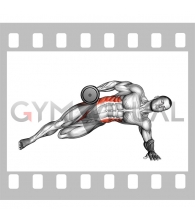 Dumbbell Side Bridge with Bent Leg (male)