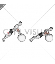 Push-up (on stability ball)