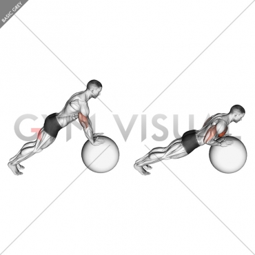 Push-up (on stability ball)