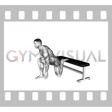 Hip Flexor Stretch Rear foot elevated (male)