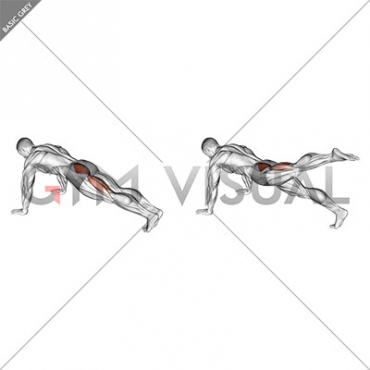 Hip Extension Stretch (male)