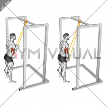 Resistance Band Triceps Pushdown