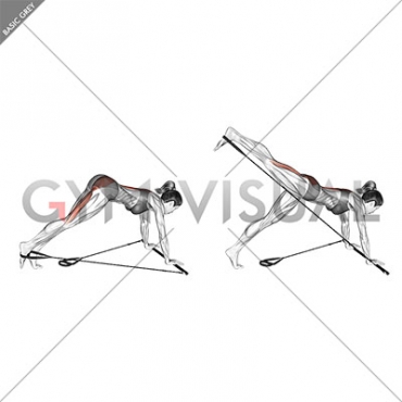 Bar Band Single Leg Reverse Hyperextension