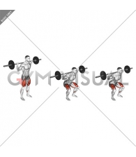 Barbell Squat 2 sec Hold