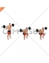 Barbell Squat 2 sec Hold