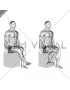 Hip - Medial Rotation (Internal Rotation) - Articulations