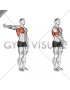 Shoulder - Adduction - Articulations