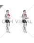 Shoulder - Lateral Rotation (External Rotation) - Articulations