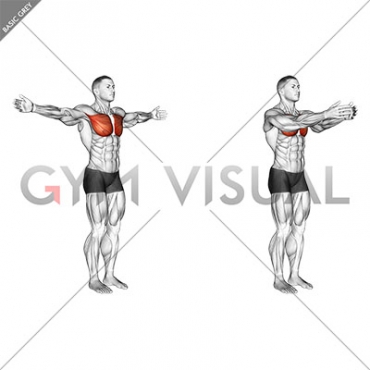 Shoulder - Transverse Adduction - Articulations