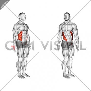 Spine (Lumbar) - Rotation - Articulations