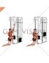 Cable Kneeling One Arm Lat Pulldown