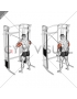 Cable Standing High Cross Triceps Extension