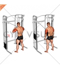 Cable Standing High Cross Triceps Extension