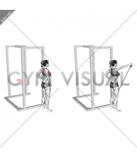 Band front lateral raise (female)