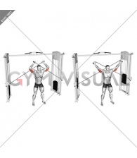 Cable High Triceps Extension