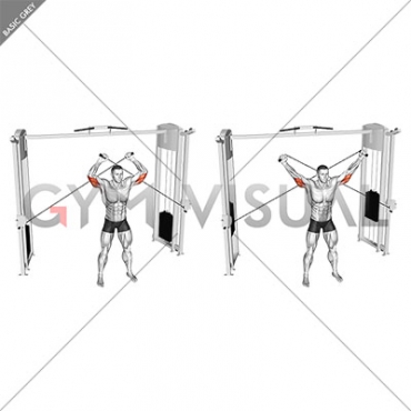 Cable High Triceps Extension