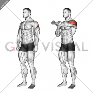 Rear Deltoid Stretch