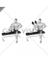 Dumbbell Seated External Shoulder Rotation