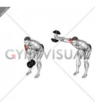 Dumbbell One Arm Y Elevation