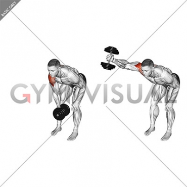 Dumbbell One Arm Y Elevation