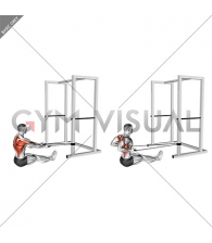 Band Seated Underhand Grip Row