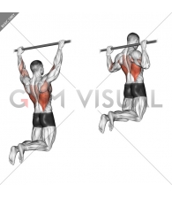 Rear Pull-up