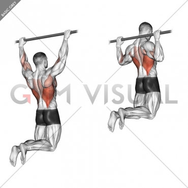 Rear Pull-up